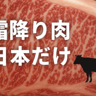 霜降り肉は日本だけ?和牛文化の真実と知っておきたい裏側