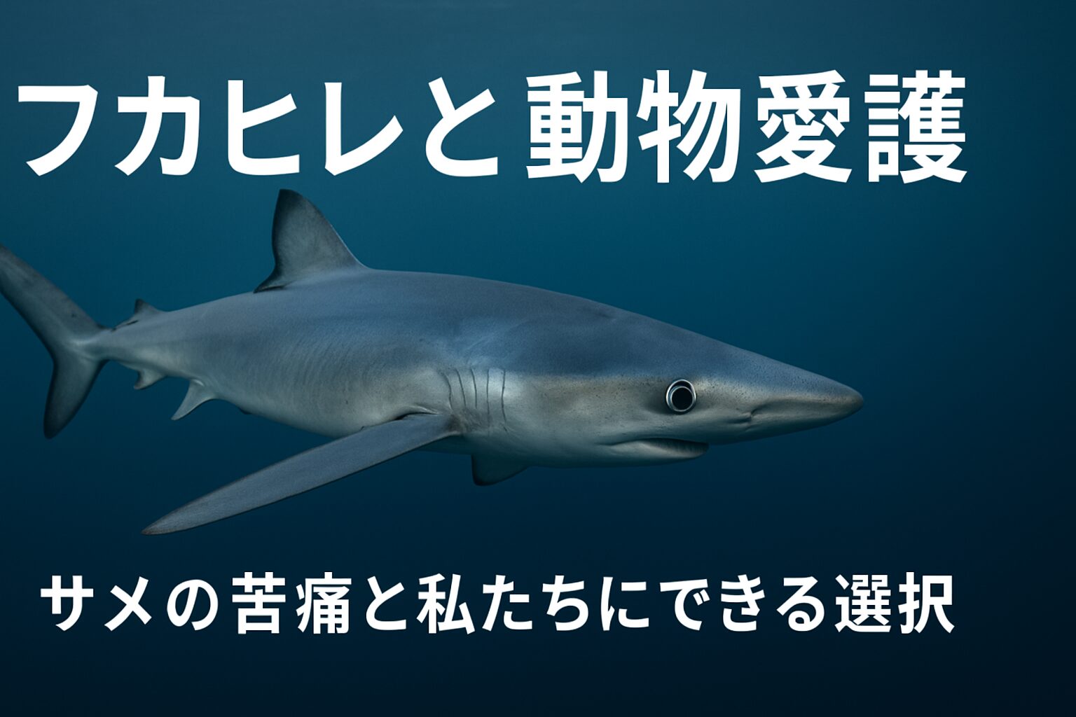 フカヒレ 動物愛護