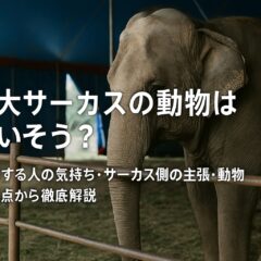 木下大サーカスの動物たちはかわいそう?動物福祉の観点から考える