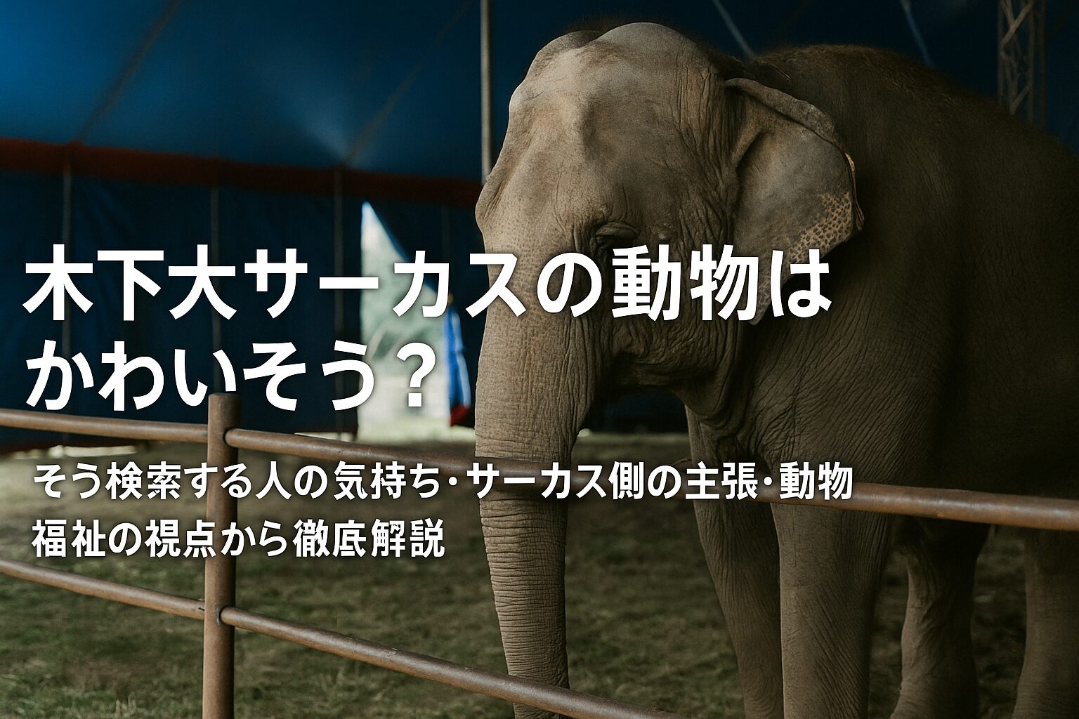 木下大サーカス 動物 かわいそう
