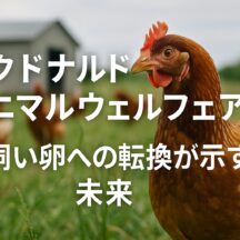 マクドナルド アニマルウェルフェア：世界的企業が動物福祉に取り組む理由と日本の未来