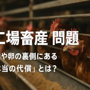 工場畜産の問題点を徹底解説 – 知られざるデメリットと私たちにできること工場畜産の問題点を徹底解説 – 知られざるデメリットと私たちにできること