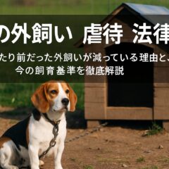 犬の外飼いは虐待になる?法律の規制と私たちができること