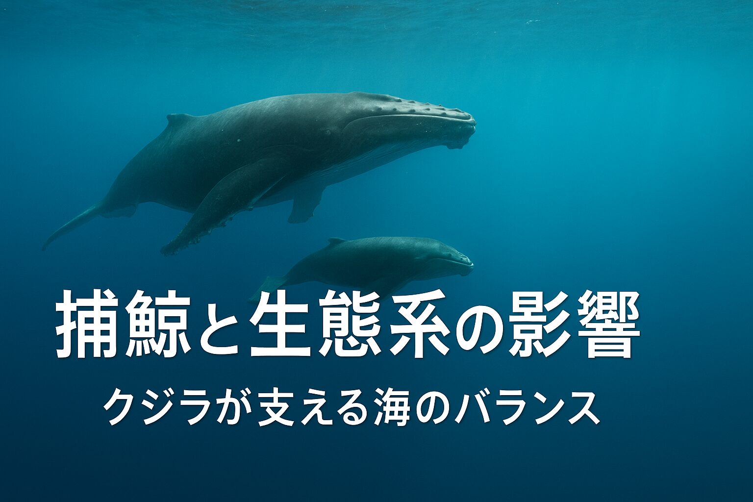 捕鯨 生態系 影響