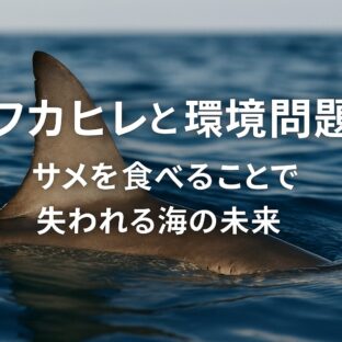 フカヒレ消費がもたらす環境問題と未来への責任