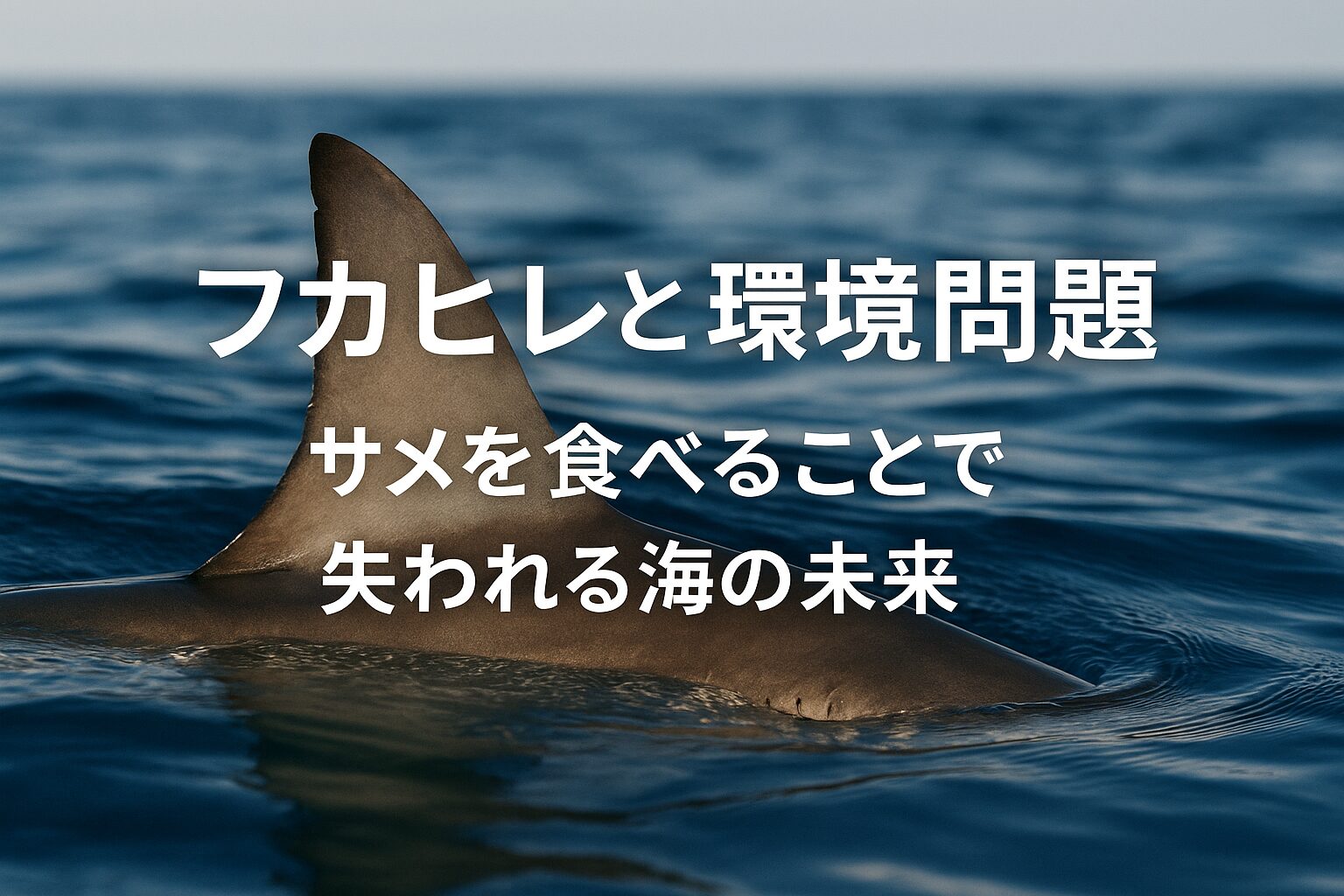フカヒレ 環境 問題