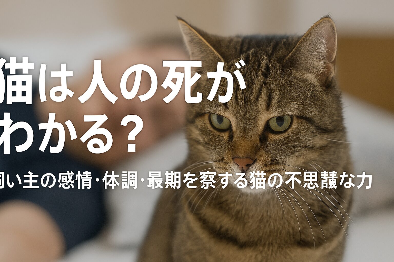 猫は人の死がわかる