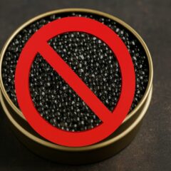 キャビア禁止が示す警告:海洋生態系を守るための選択