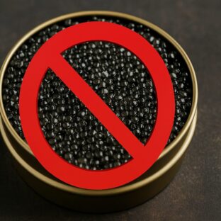 キャビア禁止が示す警告:海洋生態系を守るための選択