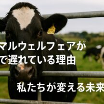 なぜ日本のアニマルウェルフェアは遅れているのか?その理由と私たちにできること