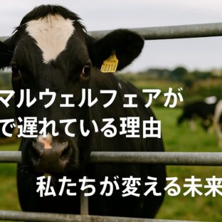 なぜ日本のアニマルウェルフェアは遅れているのか?その理由と私たちにできること