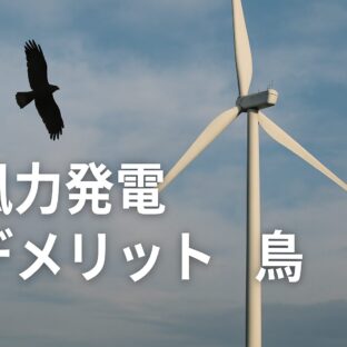 風力発電のデメリット：鳥への影響とバードストライクの実態