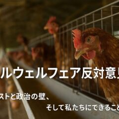 アニマルウェルフェア反対意見の背景と私たちにできること