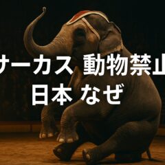 サーカス動物禁止が日本で進まない理由―世界の潮流と私たちにできること