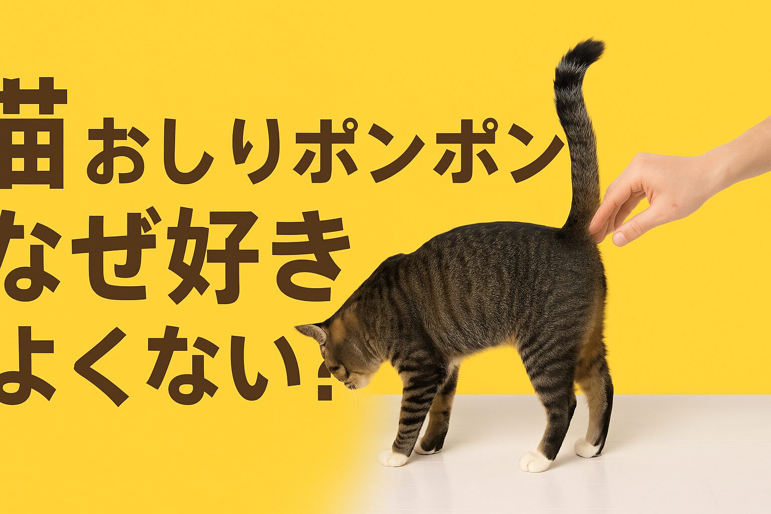 猫 おしりポンポン なぜ好き　よくない？