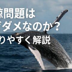 捕鯨問題はなぜダメなのか？わかりやすく解説｜日本の捕鯨の歴史とこれから