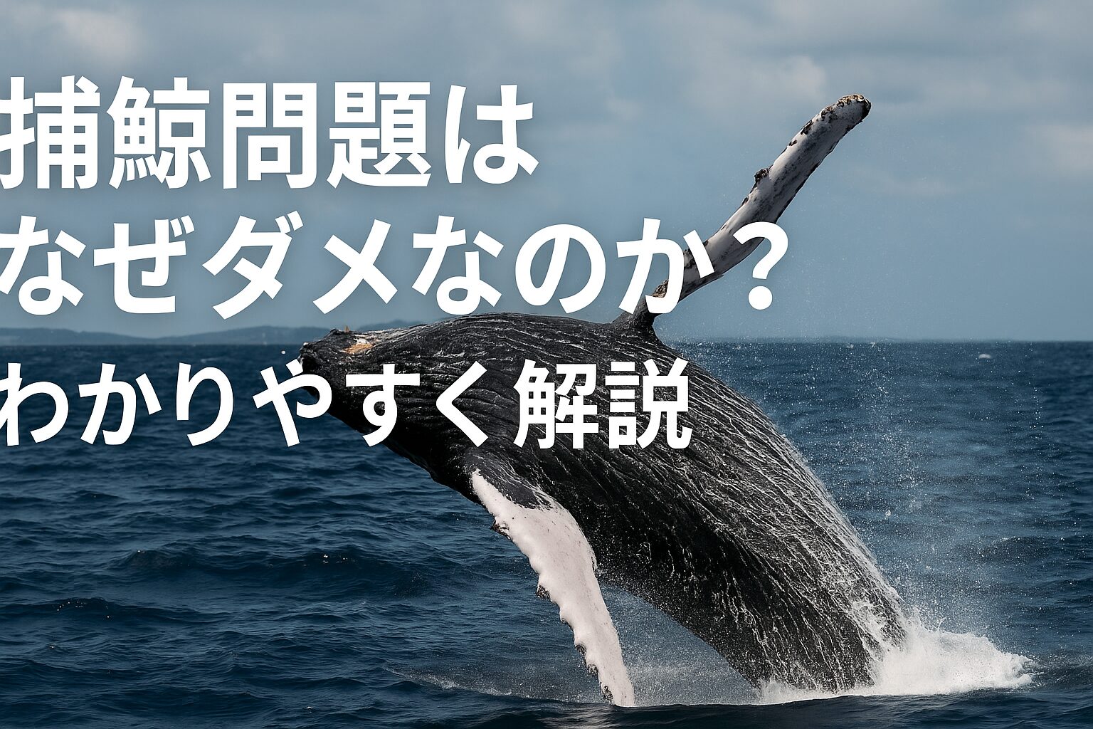 捕鯨問題 なぜだめ わかりやすく