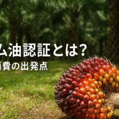 パーム油RSPO認証と企業の取り組み：持続可能な未来のための選択