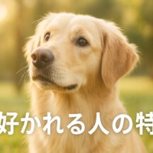 犬に好かれる人の特徴｜スピリチュアル的な意味と、これから犬を迎える人に知ってほしい“保護犬”という選択