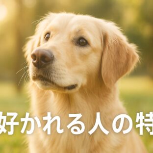 犬に好かれる人の特徴｜スピリチュアル的な意味と、これから犬を迎える人に知ってほしい“保護犬”という選択