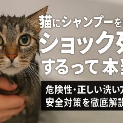猫のシャンプーでショック死の危険性｜愛猫を守るための完全ガイド