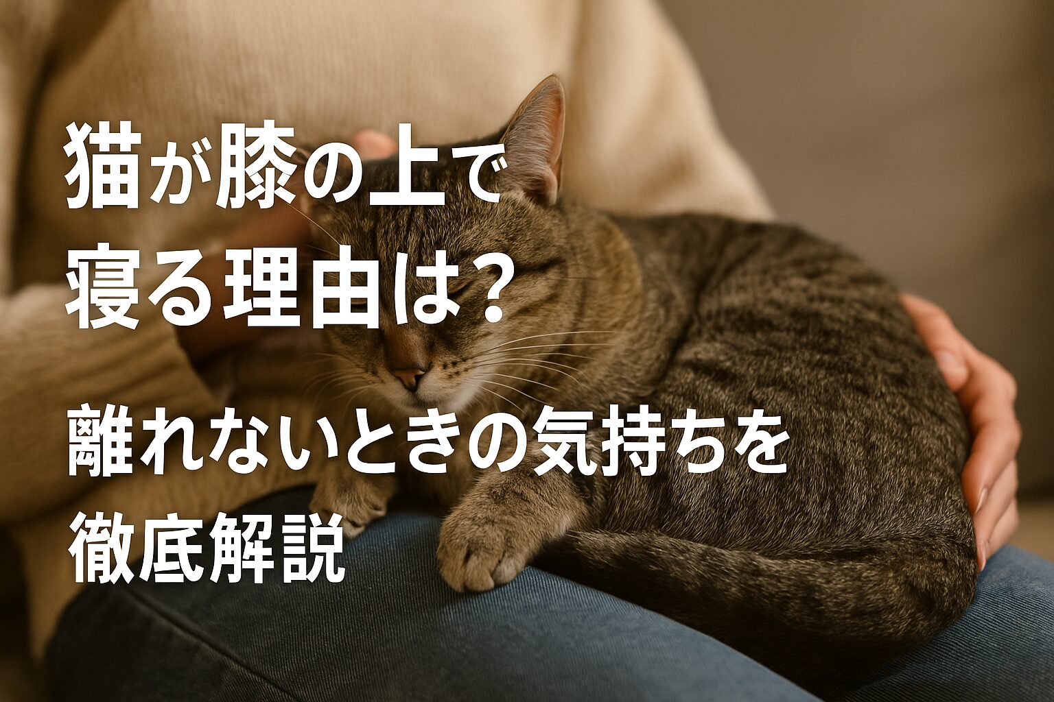 猫 膝の上で寝る 理由 離れない