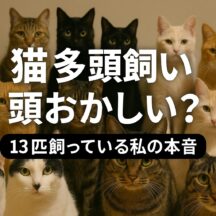 猫の多頭飼いは頭おかしい？13匹と暮らす私が語る多頭飼育崩壊の実態と予防策