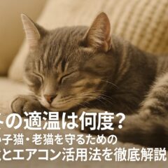 猫の冬の適温ガイド：子猫・老猫を寒さから守る室温管理と暖房対策
