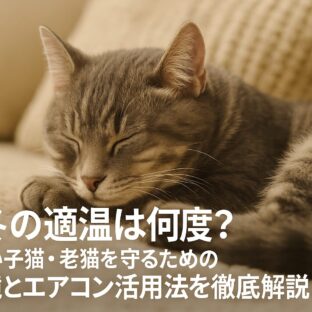猫の冬の適温ガイド：子猫・老猫を寒さから守る室温管理と暖房対策