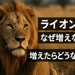 ライオンはなぜ増えない 増えたらどうなる？食物連鎖の頂点に立つ動物と生態系のバランス