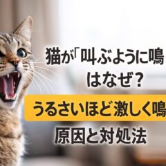 猫が叫ぶように鳴く、うるさい時の原因と対処法完全ガイド