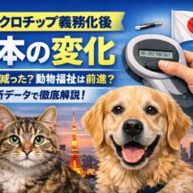 マイクロチップ義務化で日本はどう変わった？最新データで見る動物福祉の現在地
