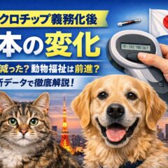 マイクロチップ義務化で日本はどう変わった？最新データで見る動物福祉の現在地