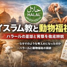 イスラム教と動物福祉｜その深い思想と現代社会への示唆