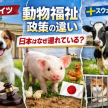 ドイツ・スウェーデンの動物福祉政策と日本の差｜世界水準から見えてくる課題と未来