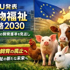 EU「動物福祉戦略2030」とは？農場動物の飼育基準が変わる理由と日本への影響を徹底解説