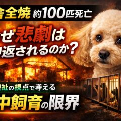 【犬舎全焼】なぜブリーダーの火災は繰り返されるのか？大量集中飼育が生む動物福祉の限界と、これからの保護活動のあり方