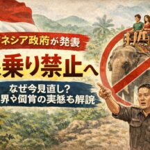 インドネシアで象乗り禁止に！世界初の全面禁止が意味すること【動物福祉の転換点】
