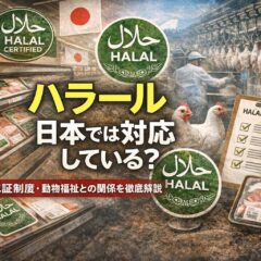 ハラール 日本 対応｜現状から認証制度・動物福祉まで徹底解説