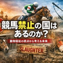 競馬禁止の国は存在するのか？動物福祉の観点から世界の競馬規制を徹底解説