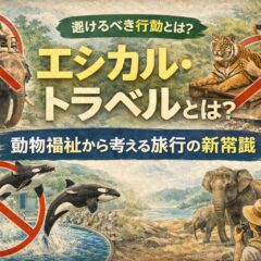 エシカル・トラベルとは？動物福祉から考える旅行の新常識