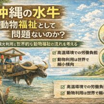 沖縄の水牛観光と動物福祉：その実態と世界的潮流から考える