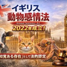 イギリス「動物感情法（Animal Sentience Act）」とは？動物が「感情ある存在」として法的に認められた歴史的転換点