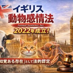 イギリス「動物感情法（Animal Sentience Act）」とは？動物が「感情ある存在」として法的に認められた歴史的転換点