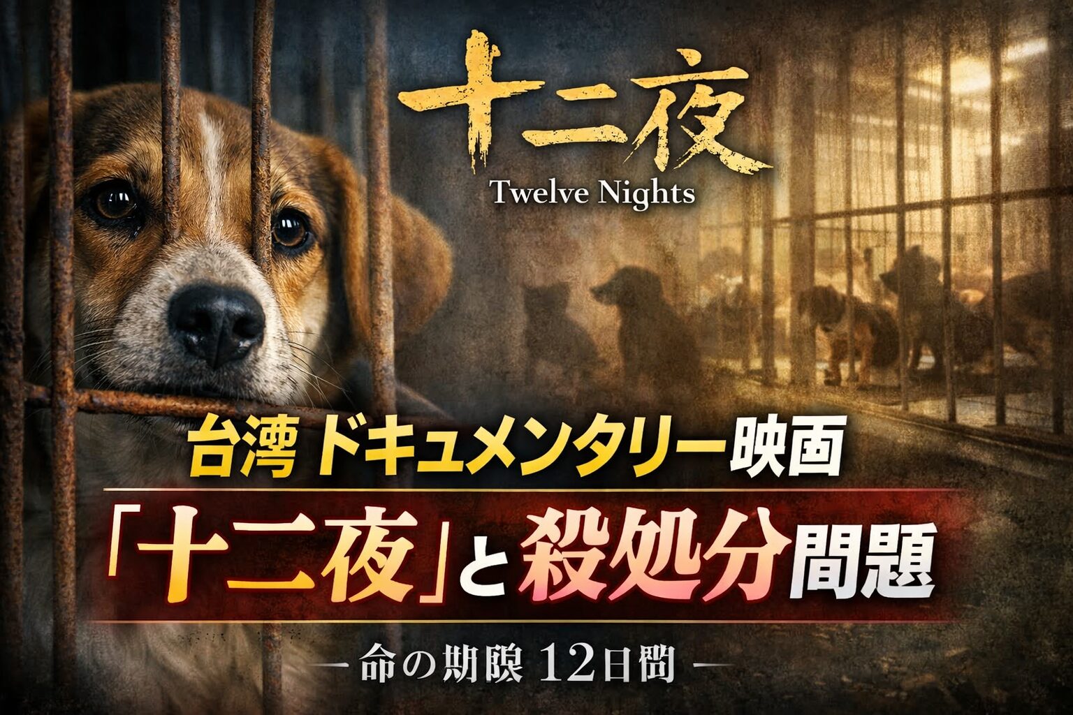 台湾 ドキュメンタリー映画『十二夜』と殺処分問題