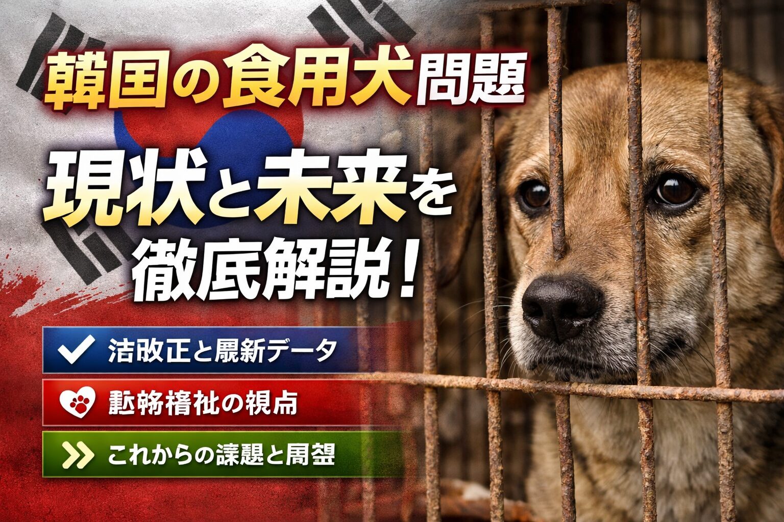 韓国 食用犬問題 禁止