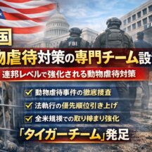 アメリカの「動物虐待対策タイガーチーム」とは？連邦レベルの取り締まり強化が示す動物福祉の新時代