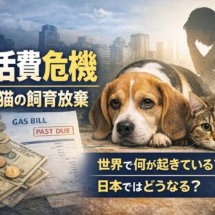 生活費危機が犬猫を追い詰める——コスト・オブ・リビング・クライシスと飼育放棄の真実