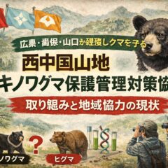西中国山地ツキノワグマ保護管理対策協議会とは？広島・島根・山口3県が挑む「共存」の最前線