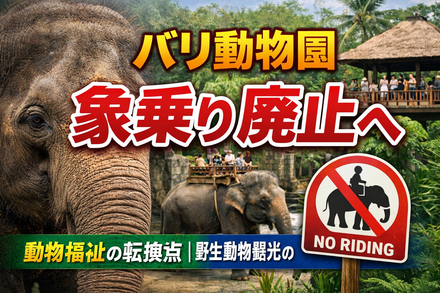 バリ動物園 象乗り 廃止
